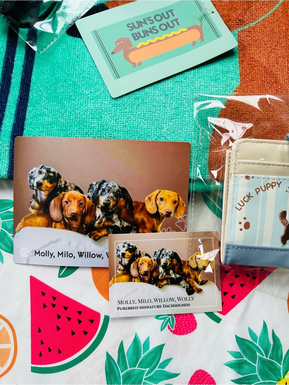 New Dachshund Bundle - Picture 2 of 6